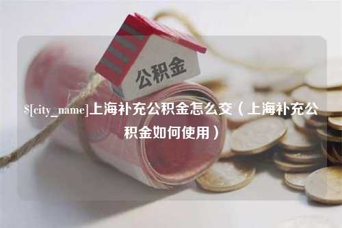 昌乐上海补充公积金怎么交（上海补充公积金如何使用）